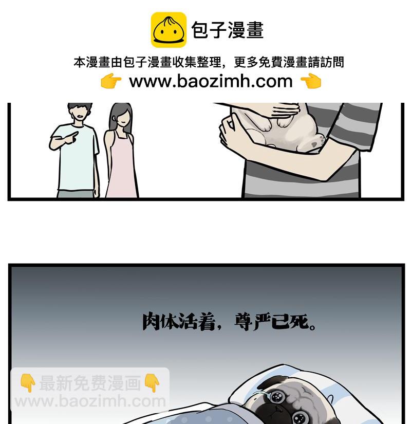 🍘吾皇巴扎黑 第423话 卡沙不拦卡 第19页