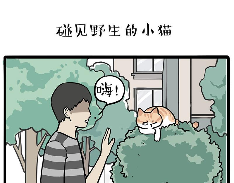 🍘吾皇巴扎黑 第429话 偷感 第15页