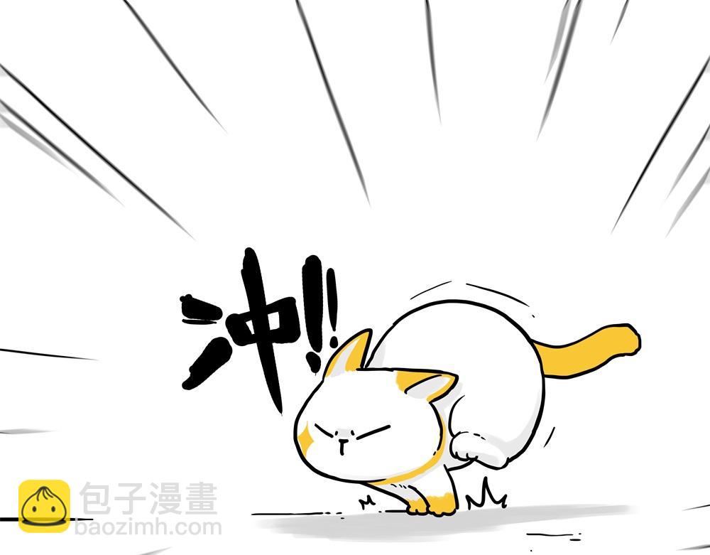 🍘吾皇巴扎黑 第431话 老大和老大？ 第13页