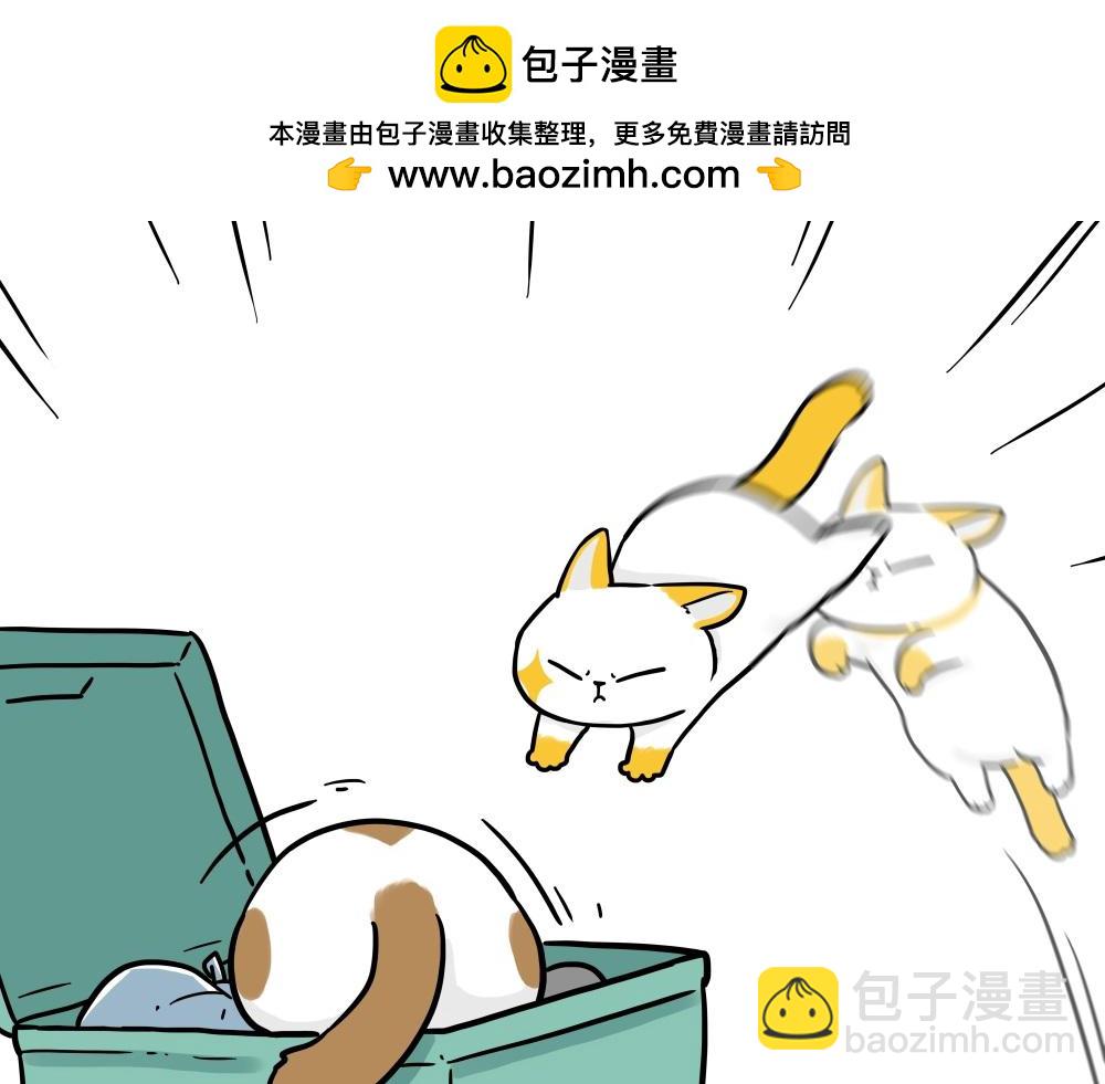 🍘吾皇巴扎黑 第431话 老大和老大？ 第17页