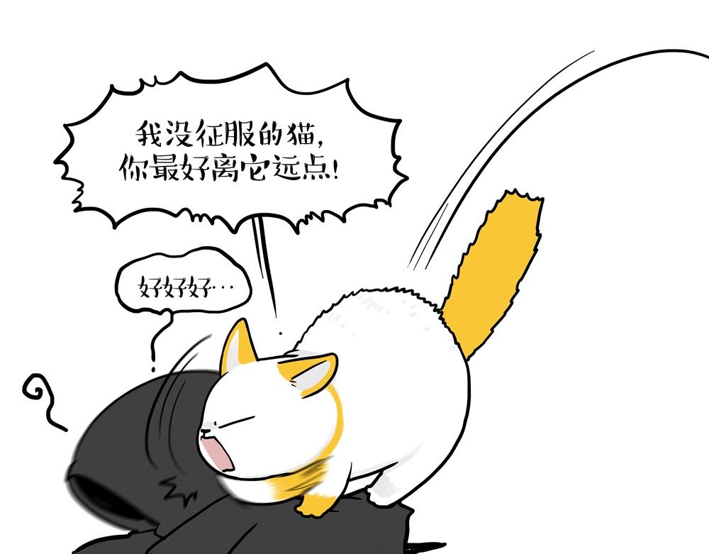 🍘吾皇巴扎黑 第431话 老大和老大？ 第23页