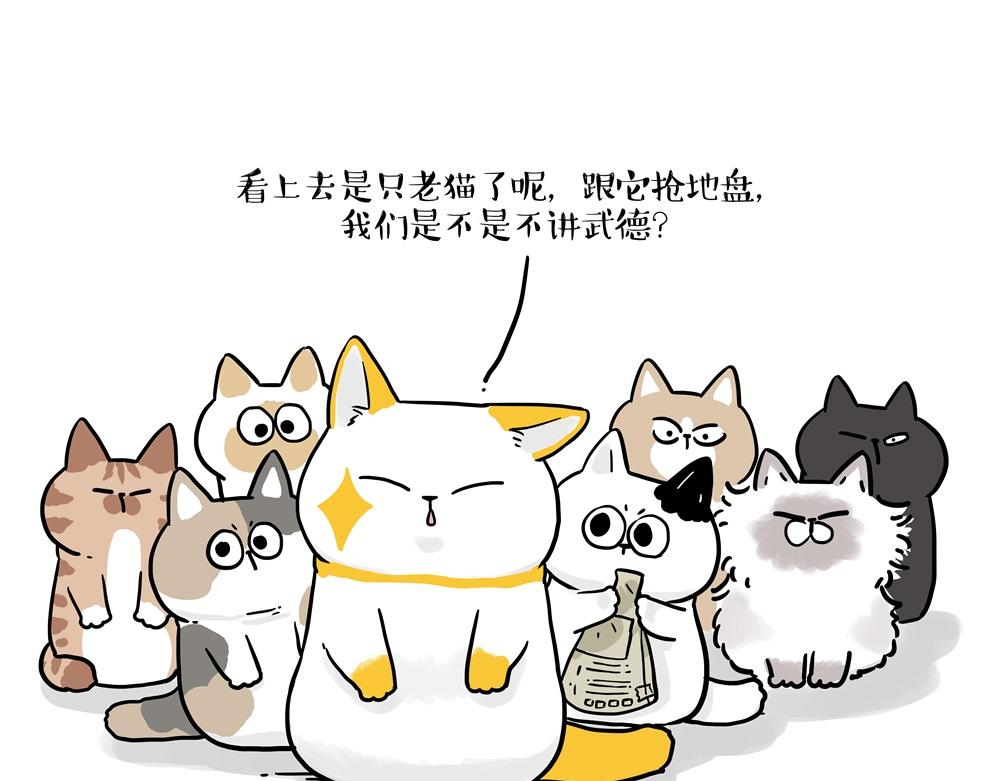 🍘吾皇巴扎黑 第431话 老大和老大？ 第3页