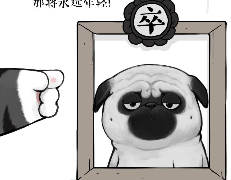 🍘吾皇巴扎黑 第431话 老大和老大？ 第41页