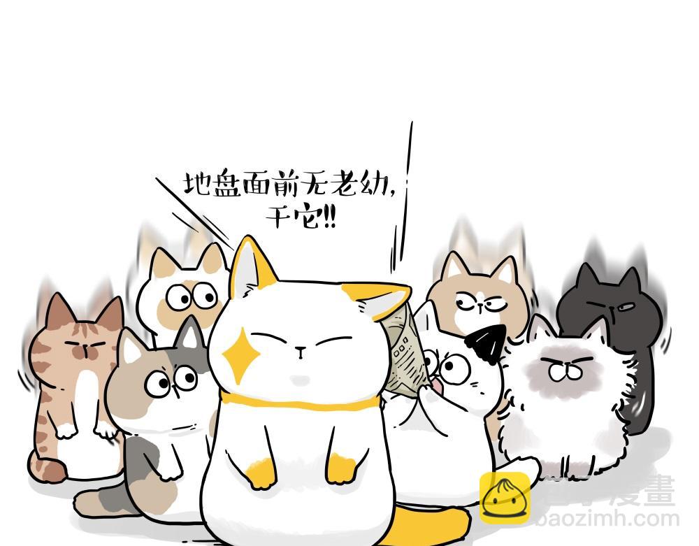 🍘吾皇巴扎黑 第431话 老大和老大？ 第5页