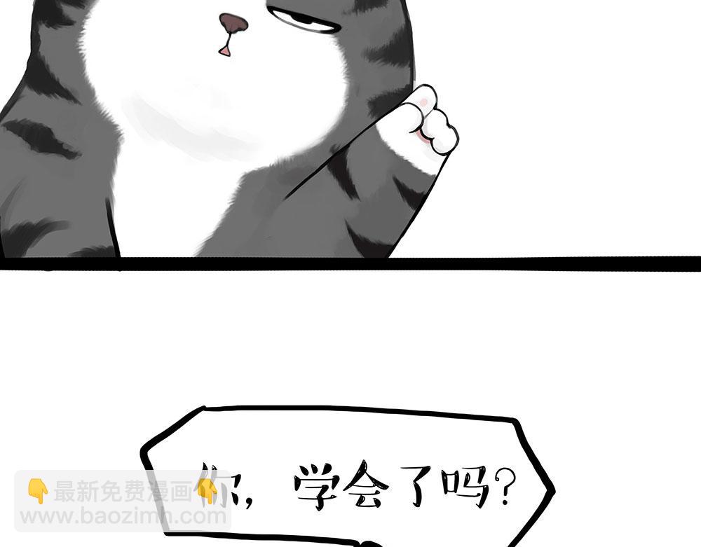 🍘吾皇巴扎黑 第433话 驱蚊妙计 第17页