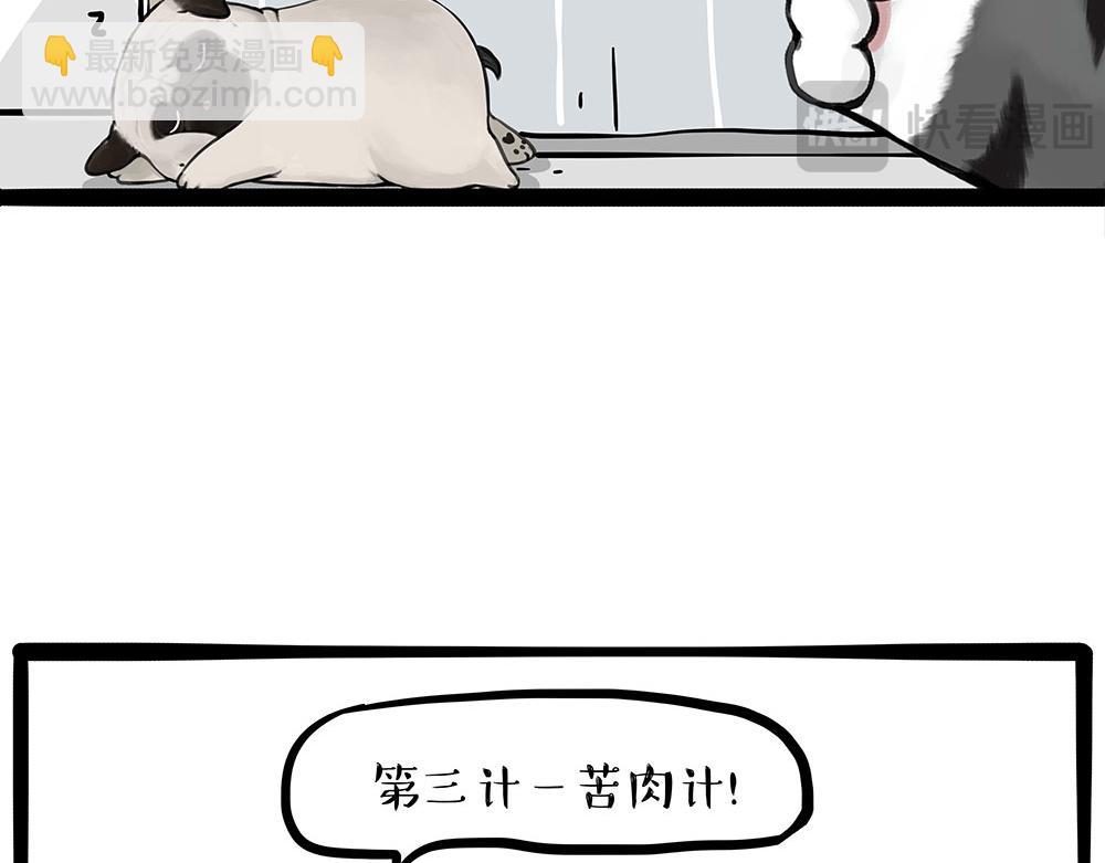 🍘吾皇巴扎黑 第433话 驱蚊妙计 第7页