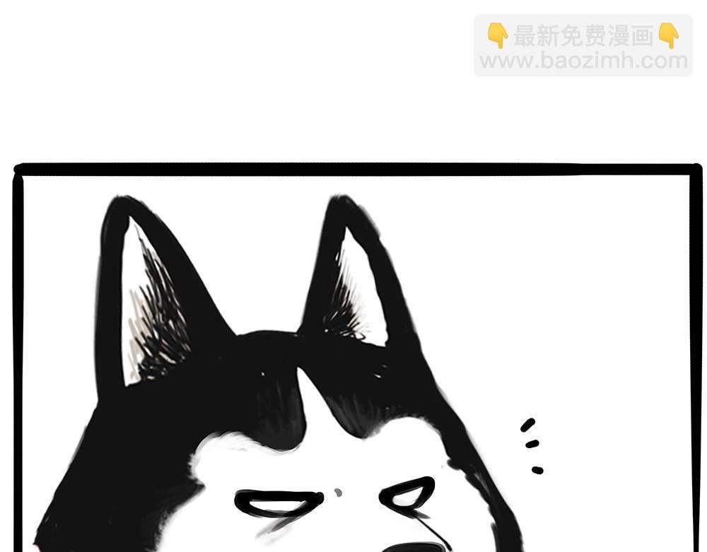 🍘吾皇巴扎黑 第437话 隐藏身份 第11页