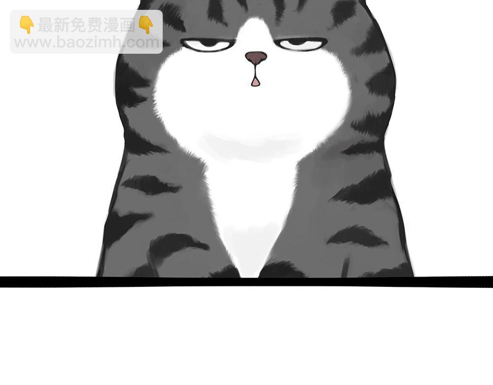 🍘吾皇巴扎黑 第437话 隐藏身份 第22页