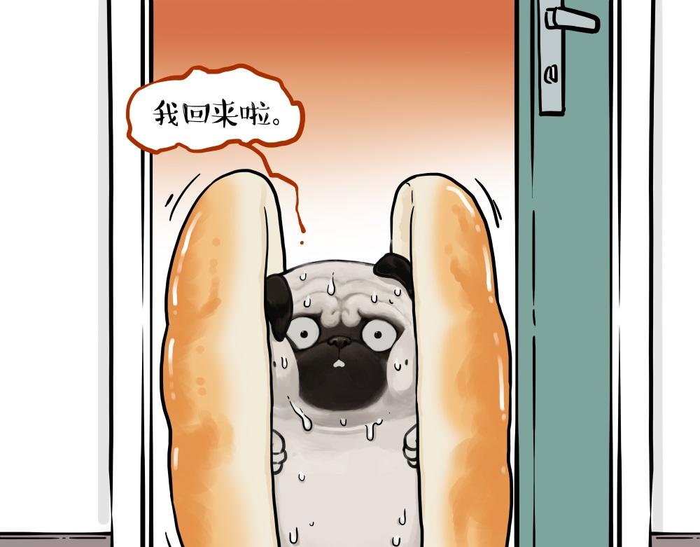 🍘吾皇巴扎黑 第437话 隐藏身份 第7页