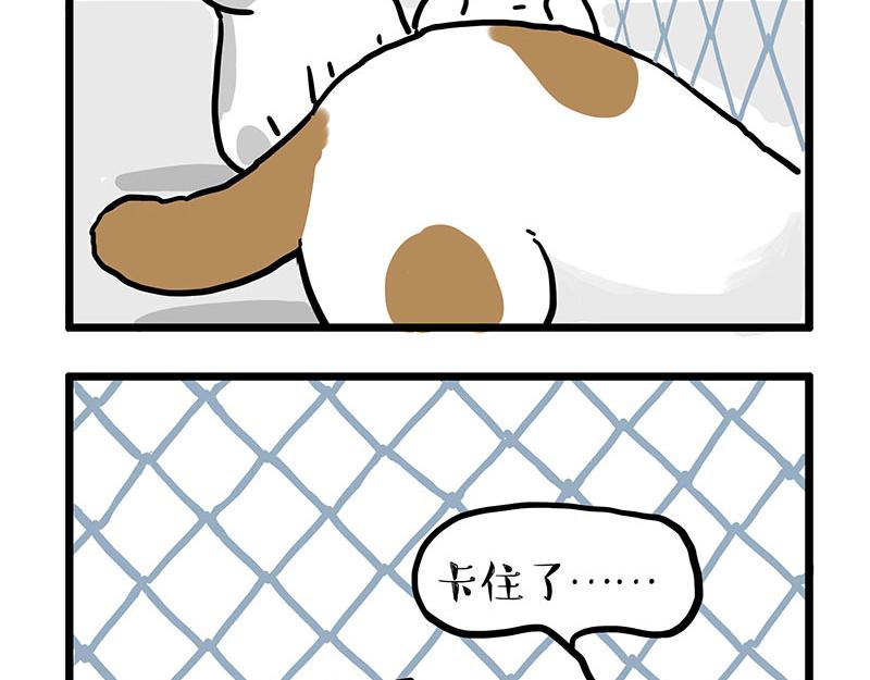🍘吾皇巴扎黑 第439话 老大倒下了！ 第10页