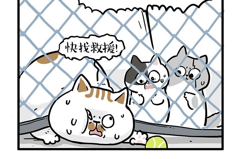 🍘吾皇巴扎黑 第439话 老大倒下了！ 第12页