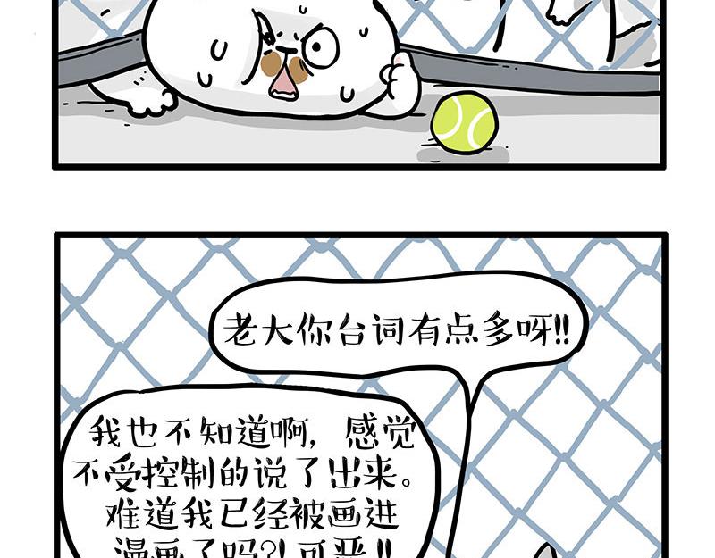 🍘吾皇巴扎黑 第439话 老大倒下了！ 第15页