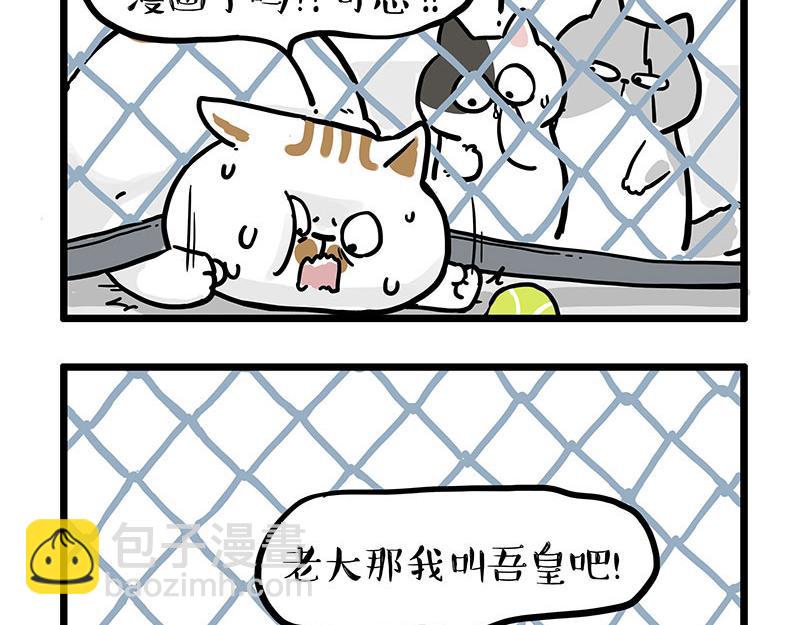 🍘吾皇巴扎黑 第439话 老大倒下了！ 第16页