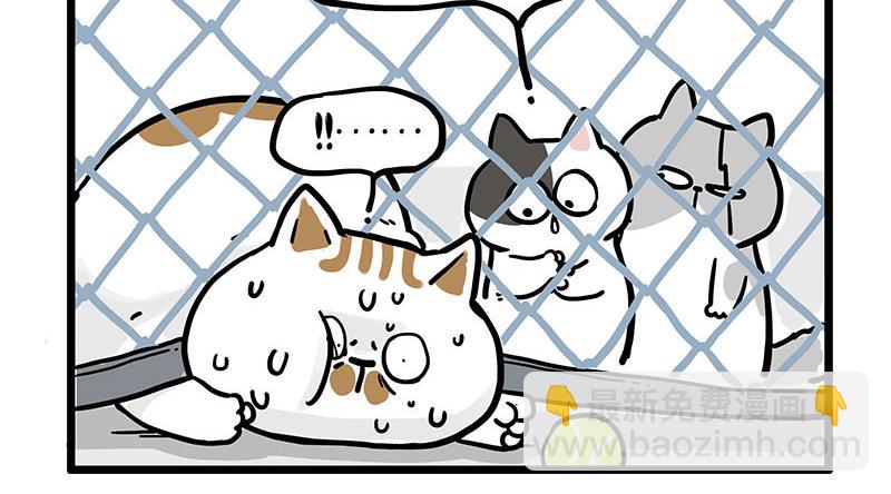 🍘吾皇巴扎黑 第439话 老大倒下了！ 第17页