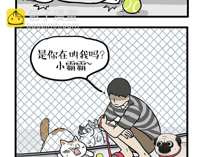 🍘吾皇巴扎黑 第439话 老大倒下了！ 第19页