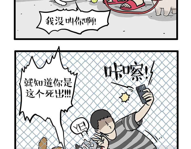 🍘吾皇巴扎黑 第439话 老大倒下了！ 第20页