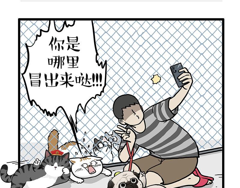 🍘吾皇巴扎黑 第439话 老大倒下了！ 第23页