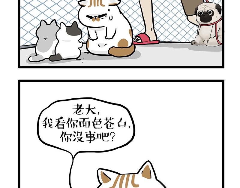 🍘吾皇巴扎黑 第439话 老大倒下了！ 第25页