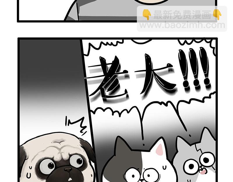 🍘吾皇巴扎黑 第439话 老大倒下了！ 第30页