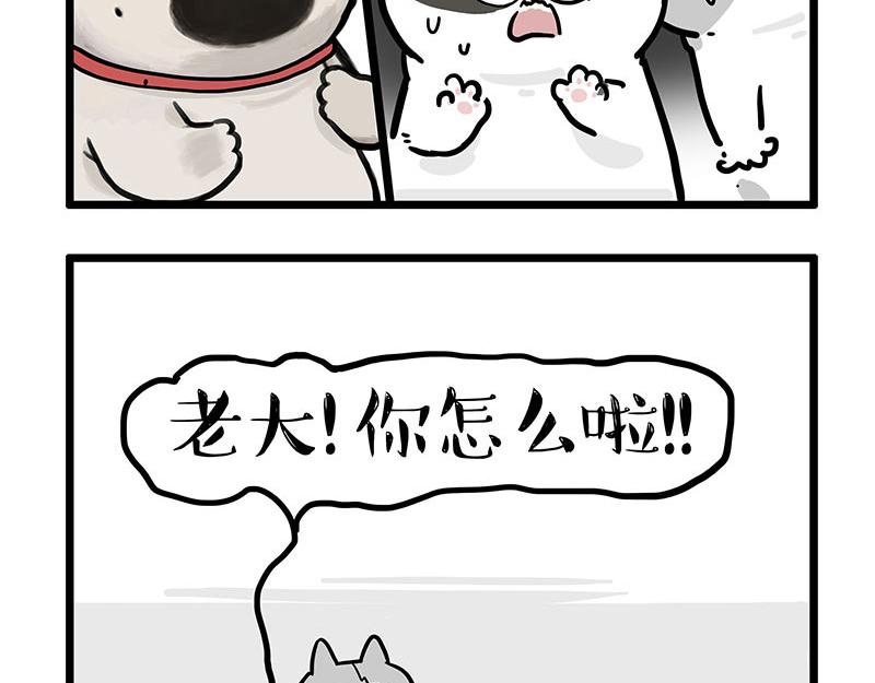 🍘吾皇巴扎黑 第439话 老大倒下了！ 第31页