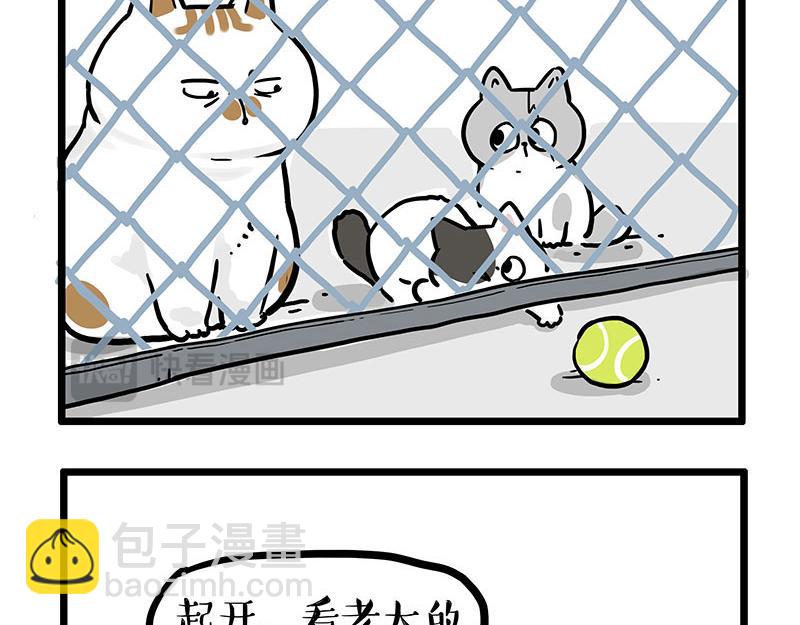 🍘吾皇巴扎黑 第439话 老大倒下了！ 第5页