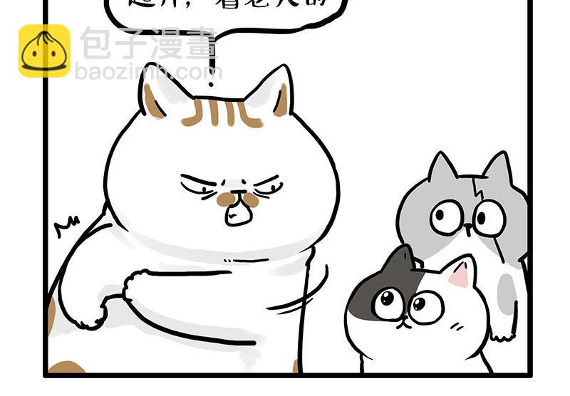 🍘吾皇巴扎黑 第439话 老大倒下了！ 第6页