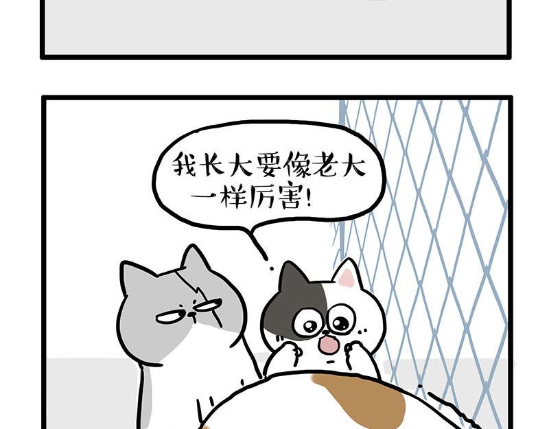 🍘吾皇巴扎黑 第439话 老大倒下了！ 第8页