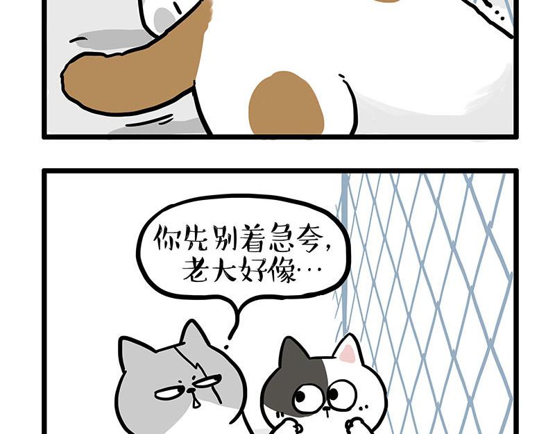 🍘吾皇巴扎黑 第439话 老大倒下了！ 第9页