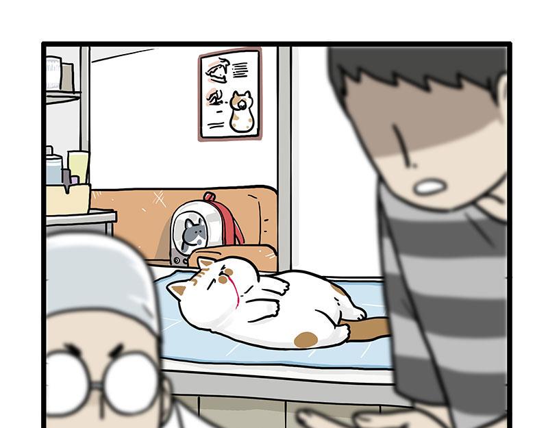 🍘吾皇巴扎黑 第441话 不要出卖老大！ 第1页