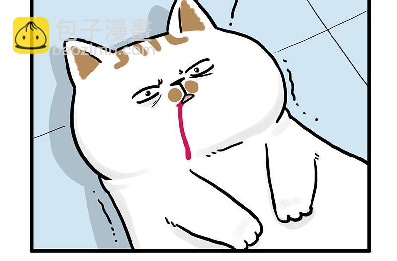 🍘吾皇巴扎黑 第441话 不要出卖老大！ 第11页