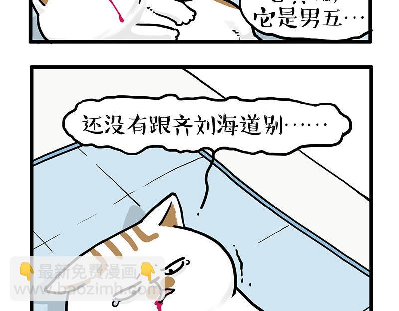 🍘吾皇巴扎黑 第441话 不要出卖老大！ 第13页
