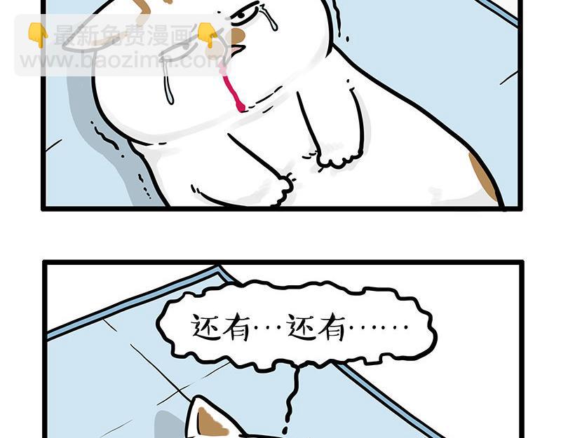 🍘吾皇巴扎黑 第441话 不要出卖老大！ 第15页