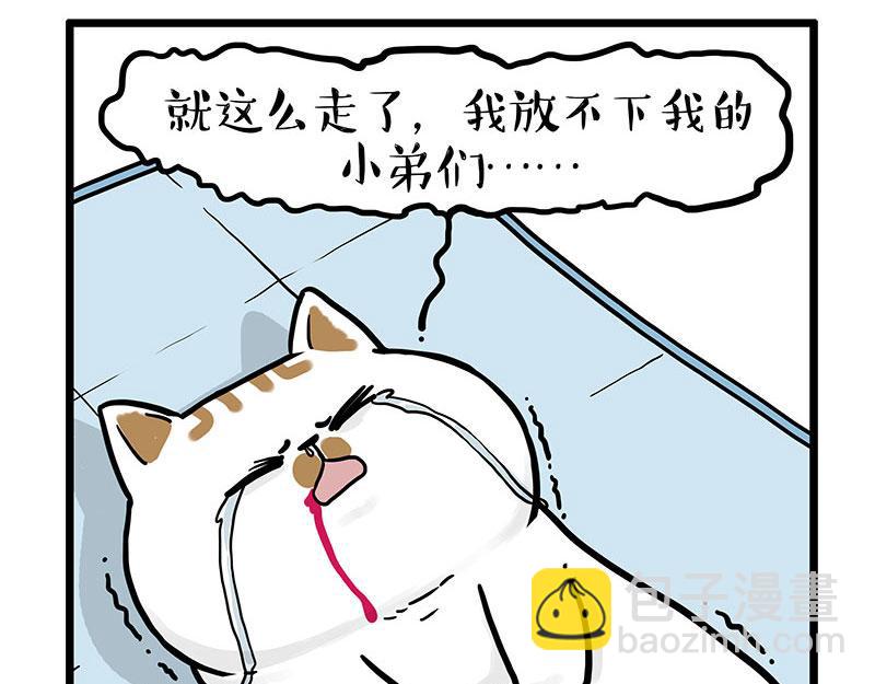 🍘吾皇巴扎黑 第441话 不要出卖老大！ 第17页