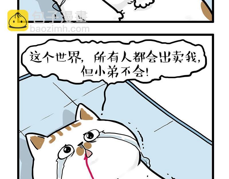 🍘吾皇巴扎黑 第441话 不要出卖老大！ 第18页