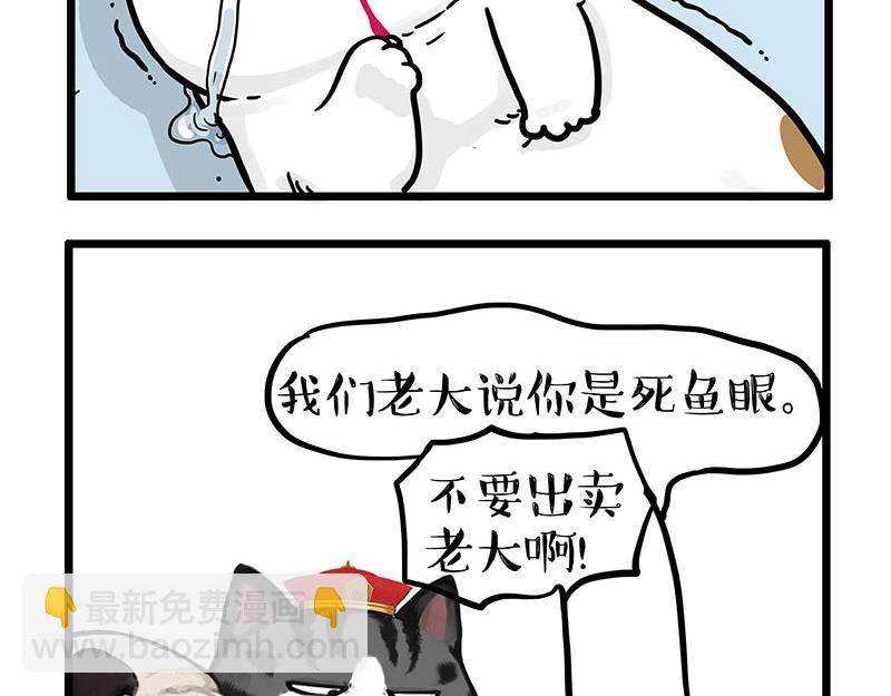 🍘吾皇巴扎黑 第441话 不要出卖老大！ 第19页