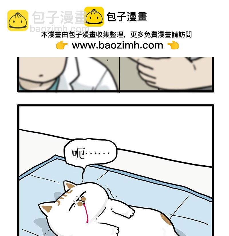 🍘吾皇巴扎黑 第441话 不要出卖老大！ 第2页