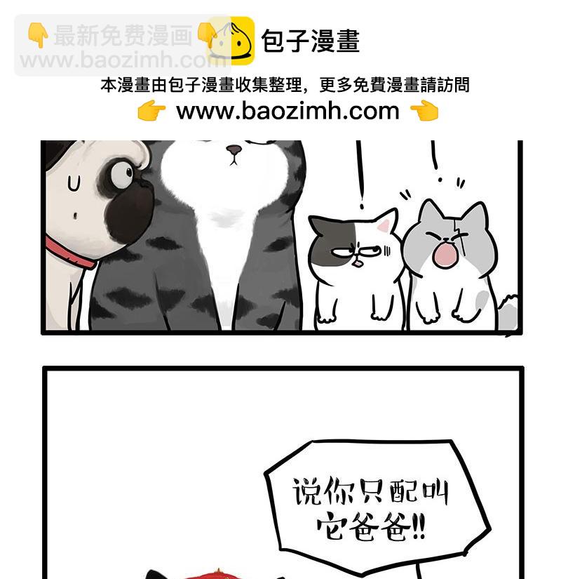 🍘吾皇巴扎黑 第441话 不要出卖老大！ 第20页