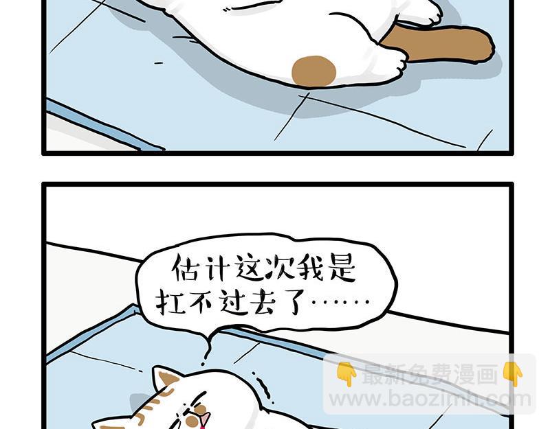 🍘吾皇巴扎黑 第441话 不要出卖老大！ 第3页