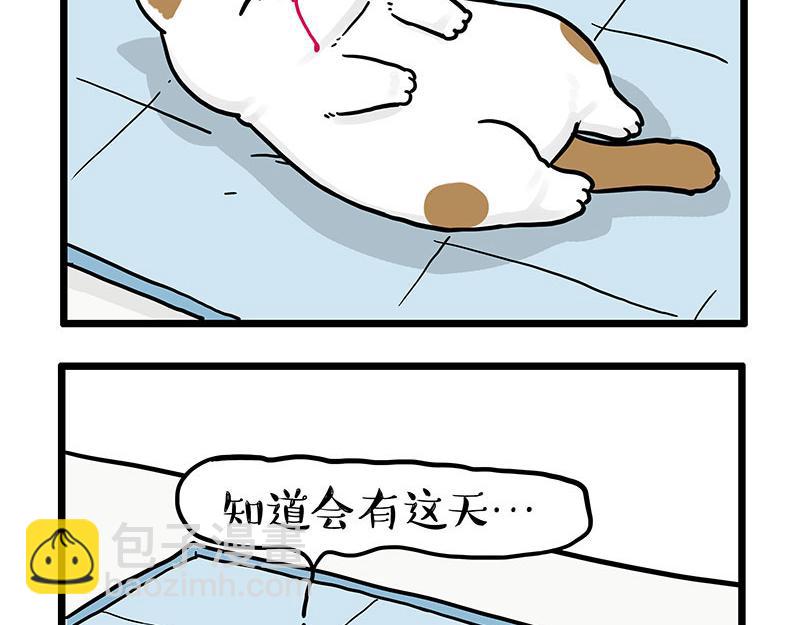 🍘吾皇巴扎黑 第441话 不要出卖老大！ 第4页