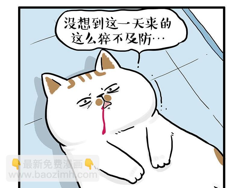 🍘吾皇巴扎黑 第441话 不要出卖老大！ 第6页