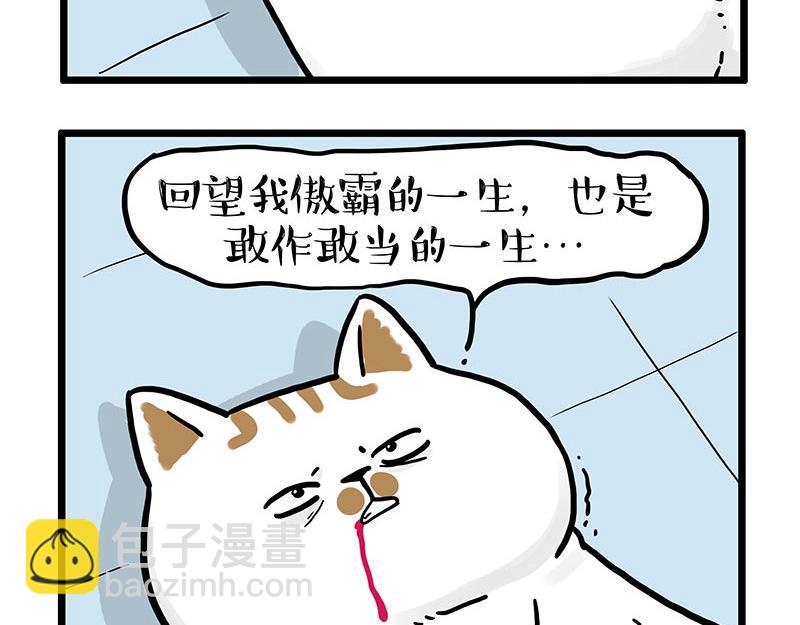 🍘吾皇巴扎黑 第441话 不要出卖老大！ 第7页
