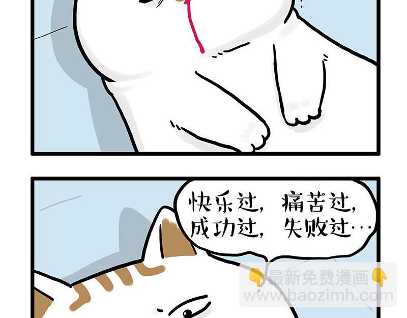 🍘吾皇巴扎黑 第441话 不要出卖老大！ 第9页