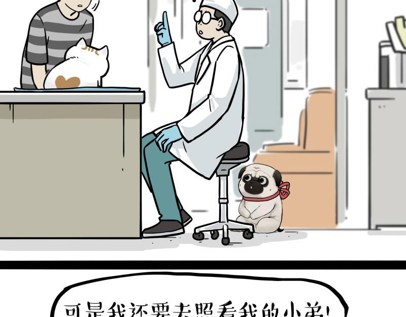 🍘吾皇巴扎黑 第443话 “癫疯”对决 第17页