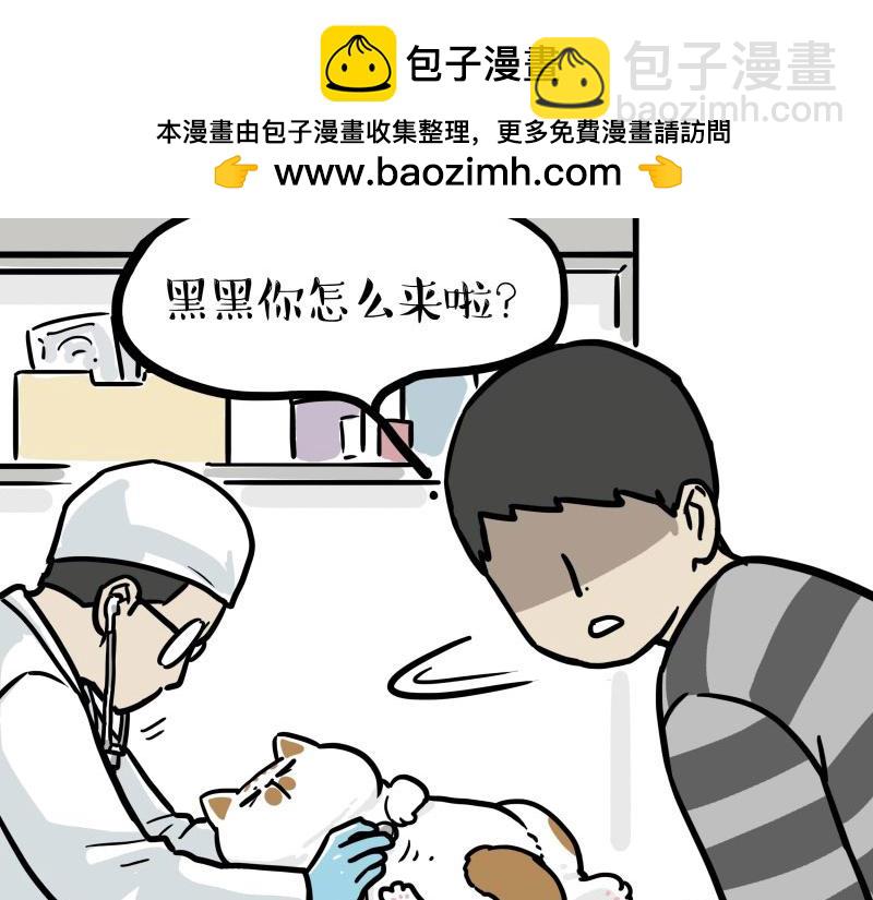 🍘吾皇巴扎黑 第443话 “癫疯”对决 第2页
