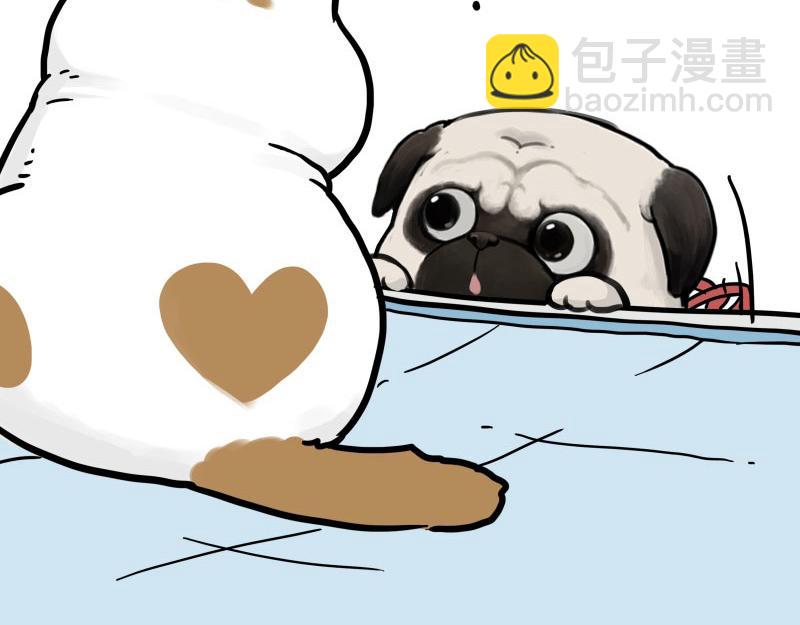 🍘吾皇巴扎黑 第443话 “癫疯”对决 第20页