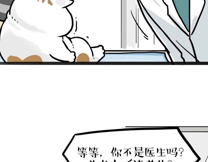 🍘吾皇巴扎黑 第443话 “癫疯”对决 第5页