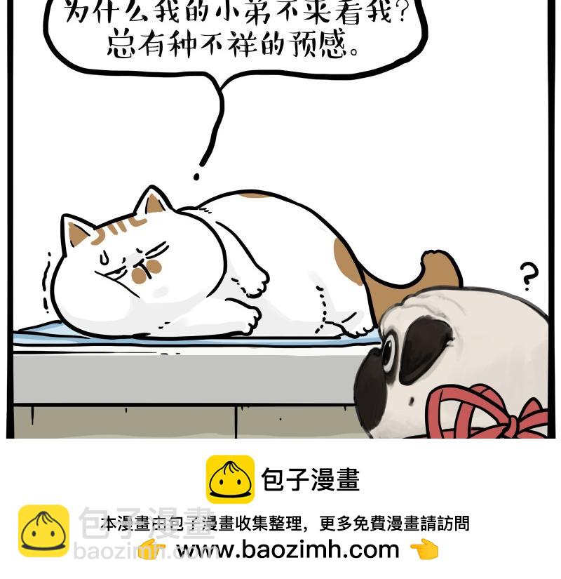 🍘吾皇巴扎黑 第443话 “癫疯”对决 第50页