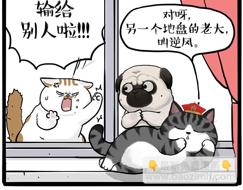 🍘吾皇巴扎黑 第445话 你就是傲霸？ 第10页