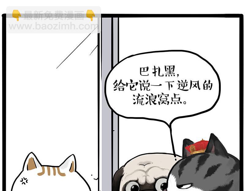 🍘吾皇巴扎黑 第445话 你就是傲霸？ 第13页
