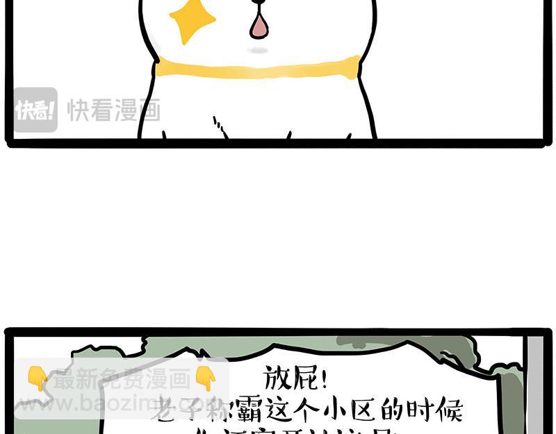 🍘吾皇巴扎黑 第445话 你就是傲霸？ 第47页